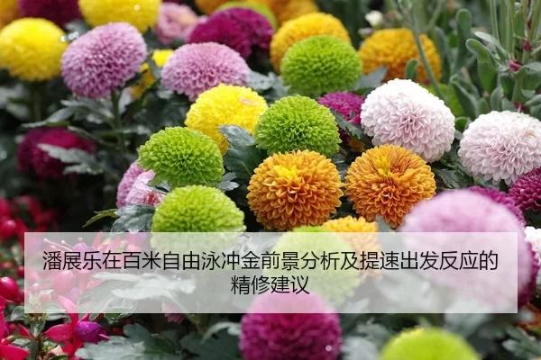 潘展乐在百米自由泳冲金前景分析及提速出发反应的精修建议 | pgdianzi