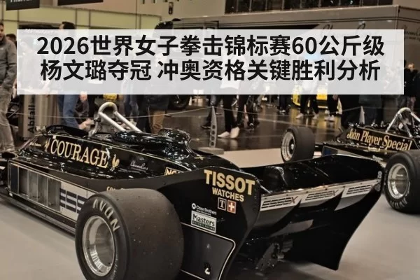 2026世界女子拳击锦标赛60公斤级杨文璐夺冠 冲奥资格关键胜利分析 | pgdianzi